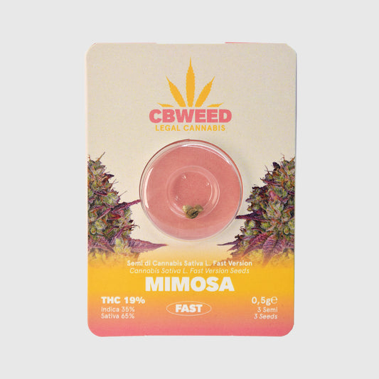 Semillas Fast Version  Mimosa No.3