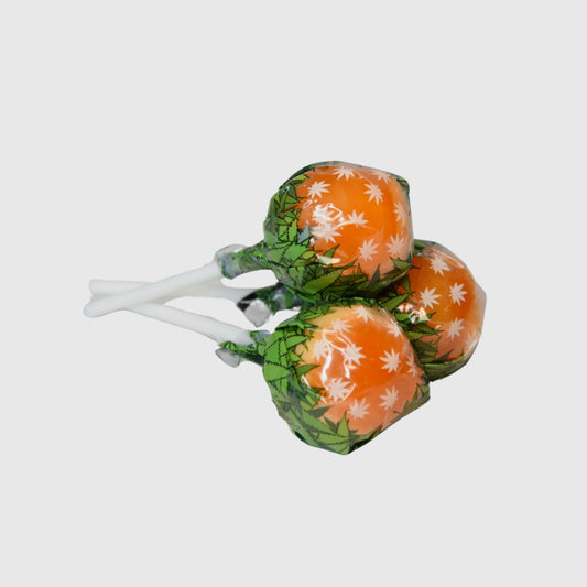 Lollipop Orange bud
