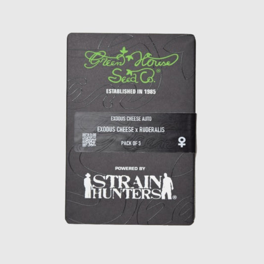 Semillas Autofloreciente  Exodus Cheese n.1