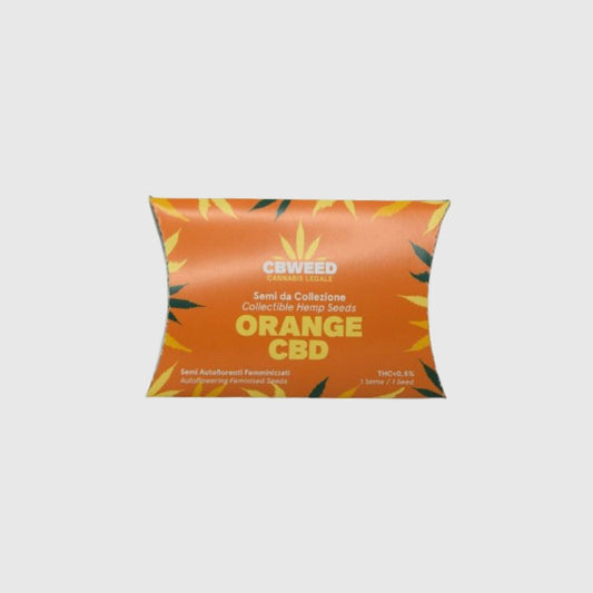 Semillas autoflorecientes feminizadas Orange CBD
