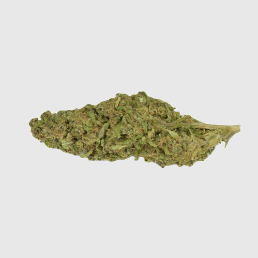Gelato CBD 1g