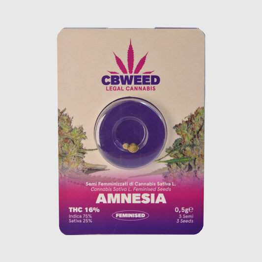 Semillas Feminizadas  Amnesia No.3