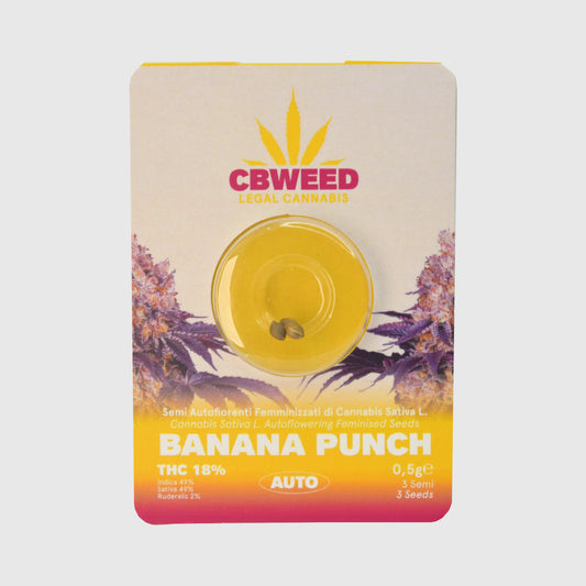 Semillas Feminizadas  Banana Punch No.3