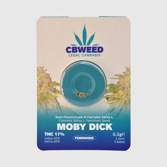 Semillas Feminizadas  Moby Dick No.3