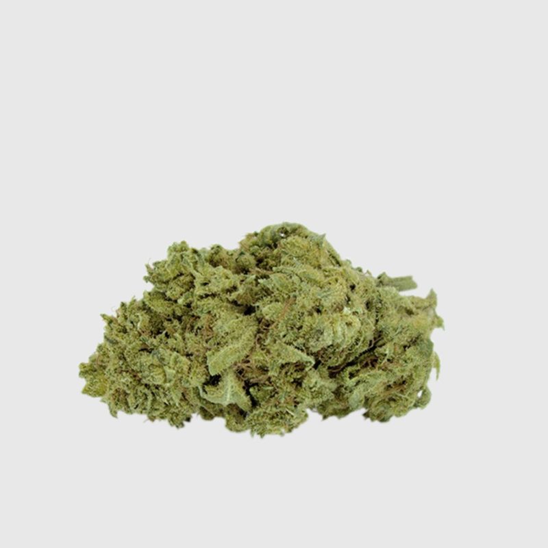 Cannabis Light Cbweed Super Silver Haze CBD