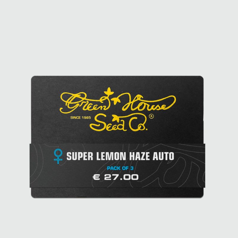 Super-lemon-Haze-3-semilla