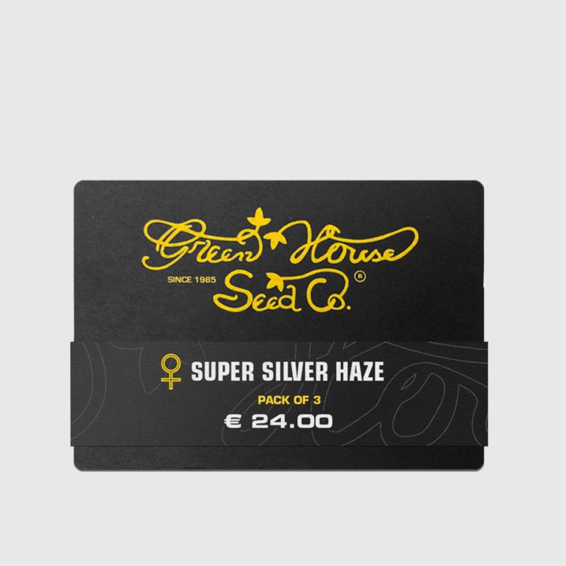 super-silver-haze-3-semilla