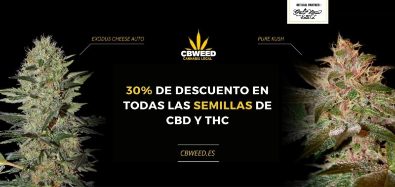 semillas-descuebto