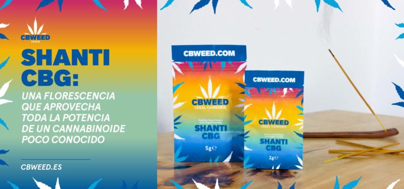 banner-shanti-cbg