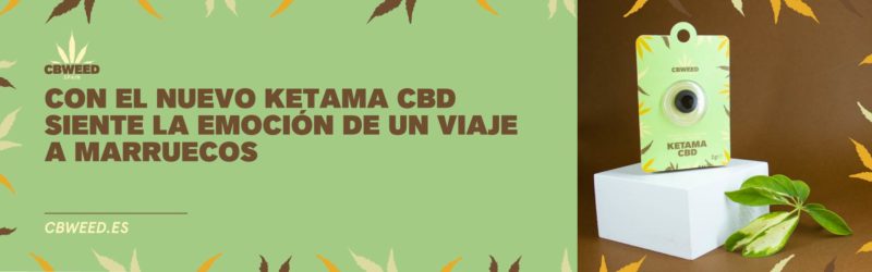 banner ketama